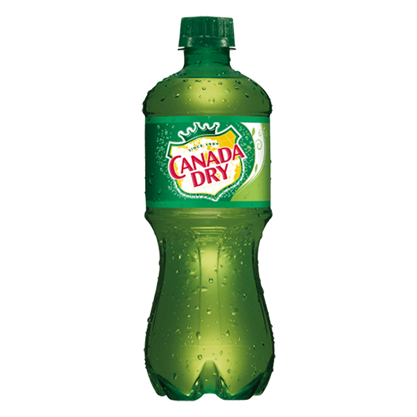 Canada Dry Ginger Ale Plastic Bottle - 20oz